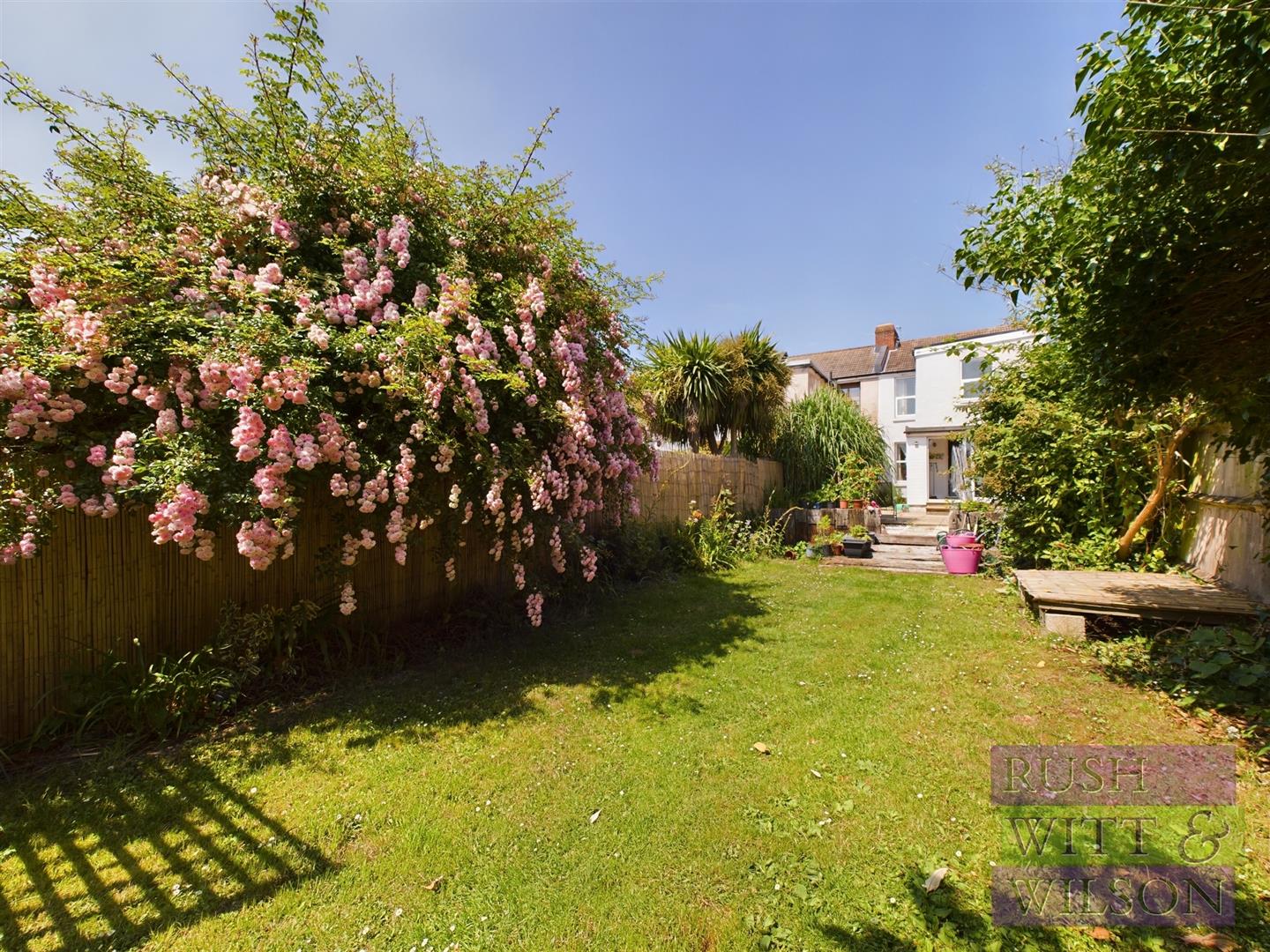 Alfred Road, Hastings Rush, Witt & Wilson